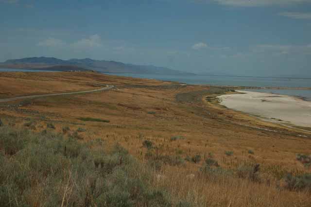 the salt shoreline